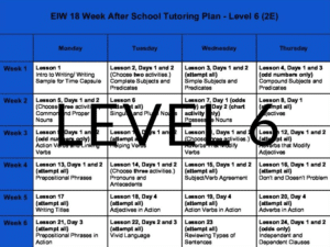 Level6